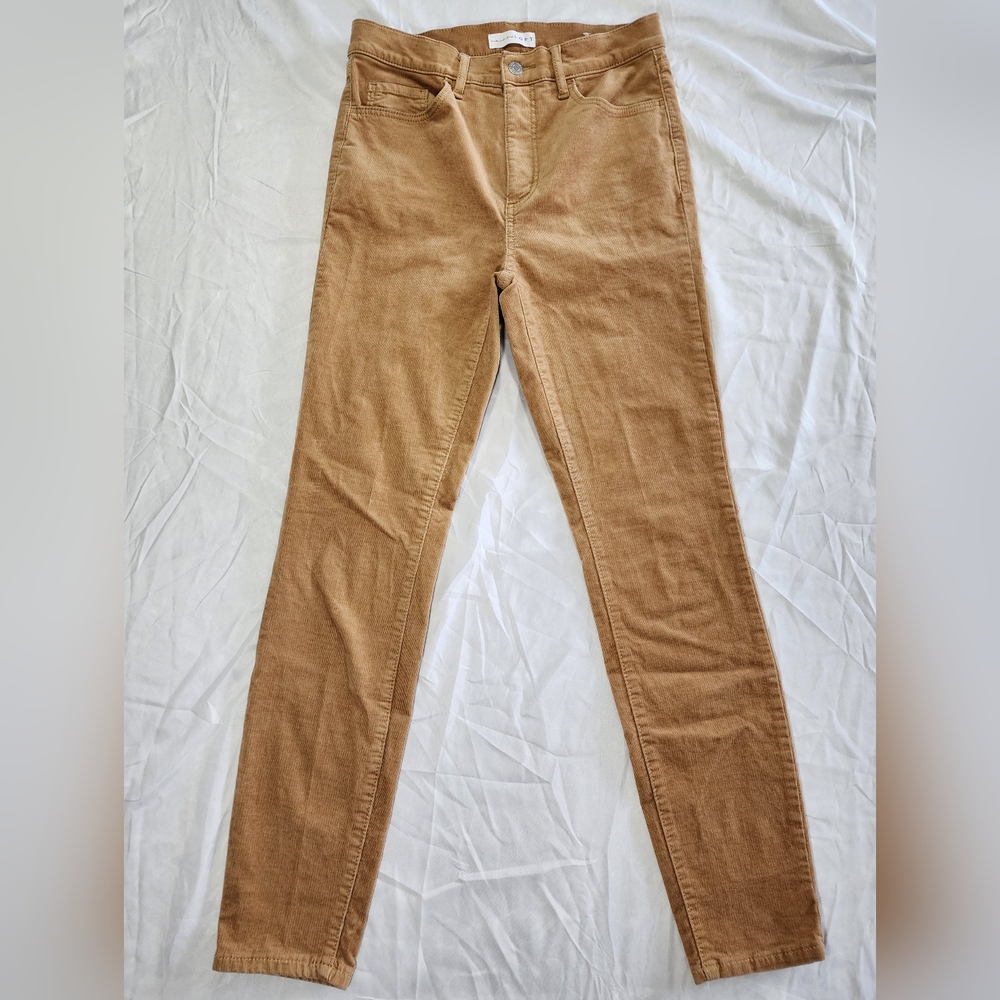 Womens Loft Velvet Light Brown Skinny Pants Size 26/2